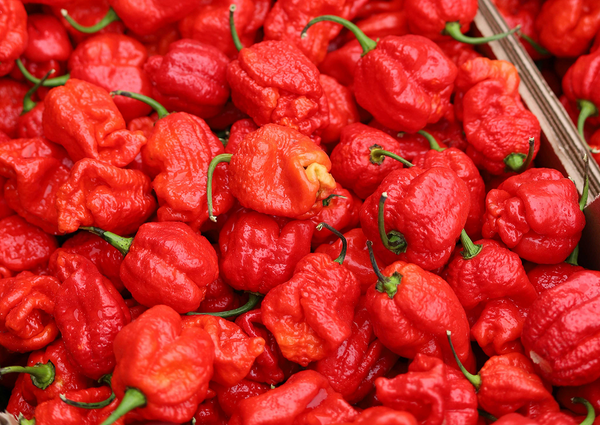 LES BIENFAITS DU PIMENT SUR LE MÉTABOLISME