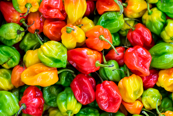 Piments Habanero