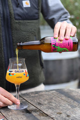Bière Spicy Mango - Gallia X Martin